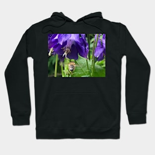 Columbine with flying Honey Bee Hoodie